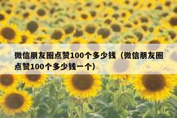 微信朋友圈点赞100个多少钱（微信朋友圈点赞100个多少钱一个） 第1张