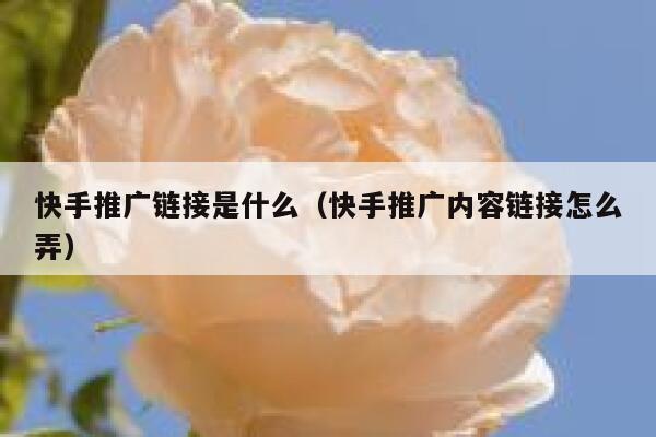 快手推广链接是什么（快手推广内容链接怎么弄） 第1张