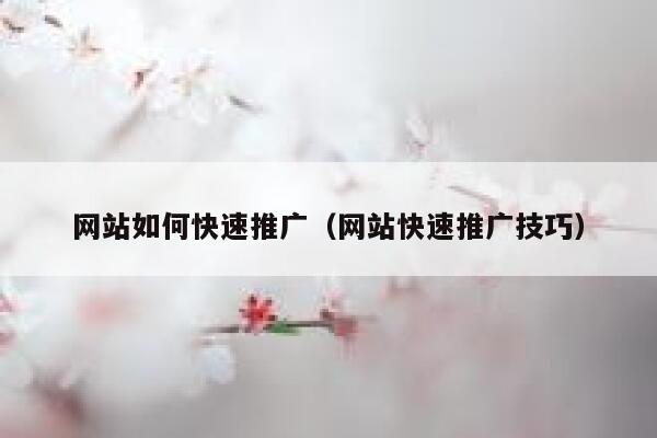 网站如何快速推广（网站快速推广技巧） 第1张