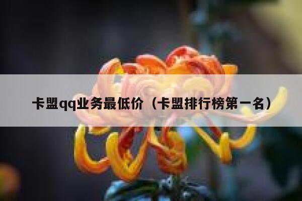 卡盟qq业务最低价（卡盟排行榜第一名） 第1张