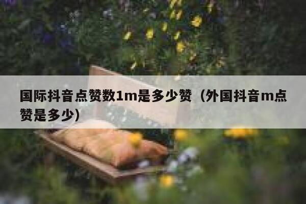 国际抖音点赞数1m是多少赞（外国抖音m点赞是多少） 第1张