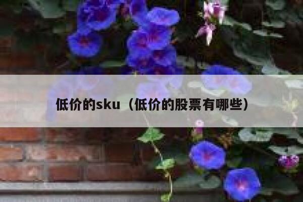 低价的sku（低价的股票有哪些） 第1张