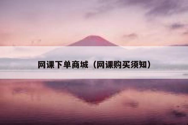 网课下单商城（网课购买须知） 第1张
