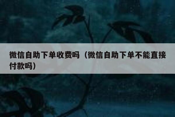 微信自助下单收费吗（微信自助下单不能直接付款吗） 第1张