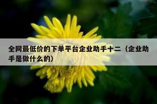 全网最低价的下单平台企业助手十二（企业助手是做什么的） 第1张
