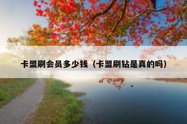 卡盟刷会员多少钱（卡盟刷钻是真的吗） 第1张