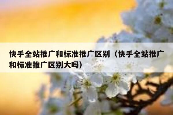 快手全站推广和标准推广区别（快手全站推广和标准推广区别大吗） 第1张