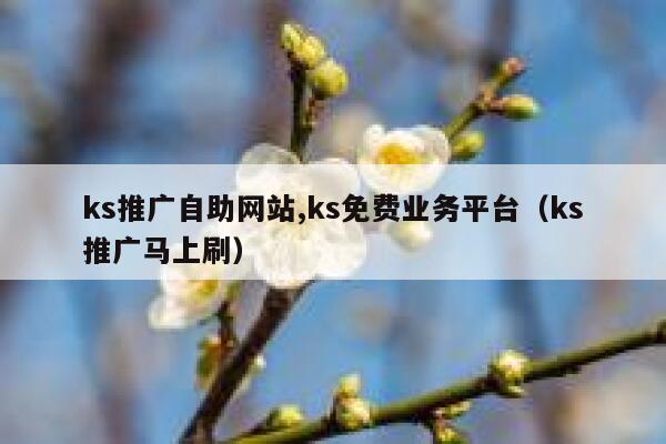 ks推广自助网站,ks免费业务平台（ks推广马上刷） 第1张