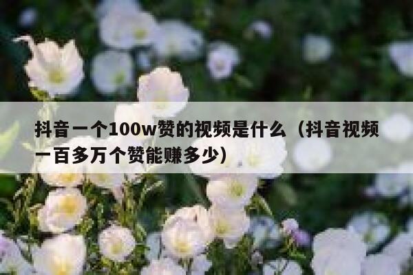 抖音一个100w赞的视频是什么（抖音视频一百多万个赞能赚多少） 第1张