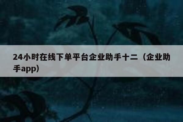 24小时在线下单平台企业助手十二（企业助手app） 第1张