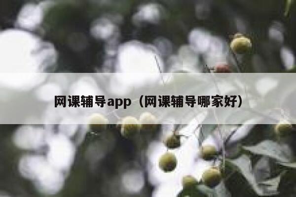 网课辅导app（网课辅导哪家好） 第1张