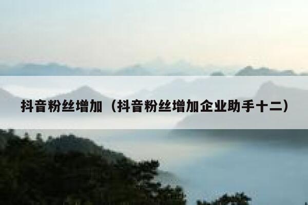 抖音粉丝增加(抖音粉丝增加企业助手十二) 第1张 抖音粉丝增加(抖音粉丝增加企业助手十二) 第1张