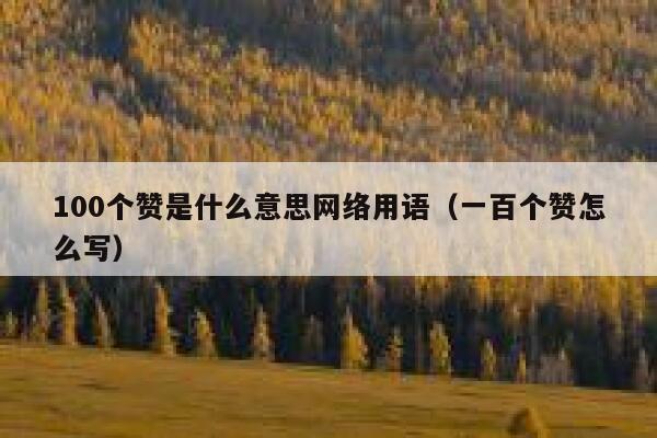 100个赞是什么意思网络用语（一百个赞怎么写） 第1张