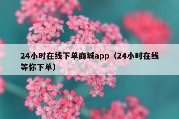 24小时在线下单商城app(24小时在线等你下单) 第1张 24小时在线下单商城app(24小时在线等你下单) 第1张