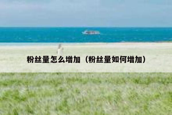 粉丝量怎么增加(粉丝量如何增加) 第1张 粉丝量怎么增加(粉丝量如何增加) 第1张