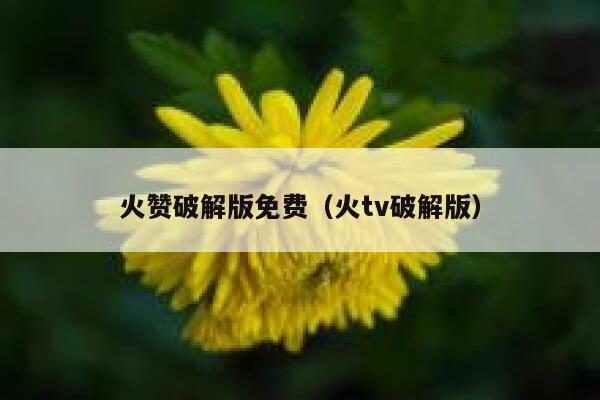 火赞破解版免费(火tv破解版) 第1张 火赞破解版免费(火tv破解版) 第1张