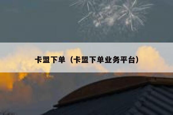 卡盟下单（卡盟下单业务平台） 第1张