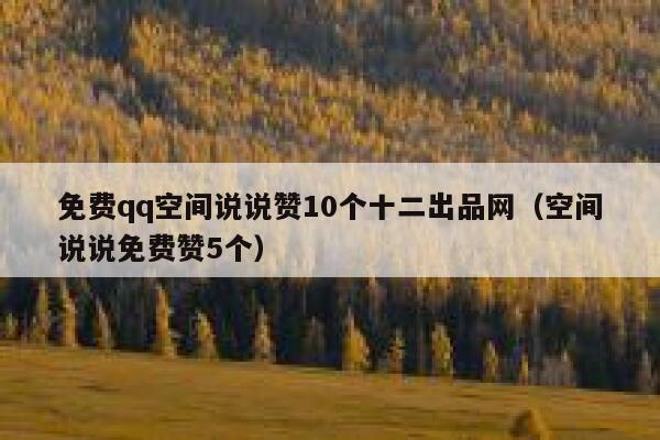 免费qq空间说说赞10个十二出品网（空间说说免费赞5个） 第1张