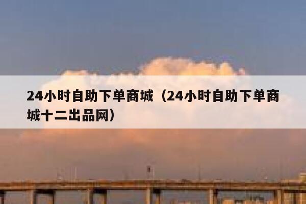 24小时自助下单商城（24小时自助下单商城十二出品网） 第1张
