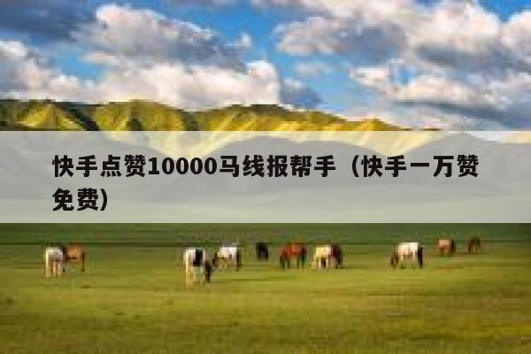 快手点赞10000马线报帮手（快手一万赞免费） 第1张