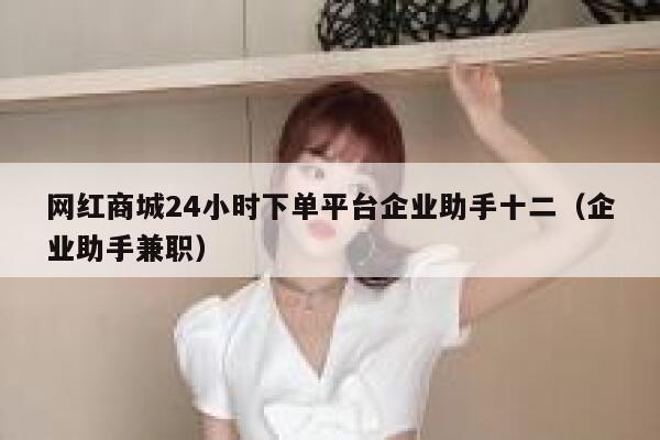 网红商城24小时下单平台企业助手十二（企业助手兼职） 第1张