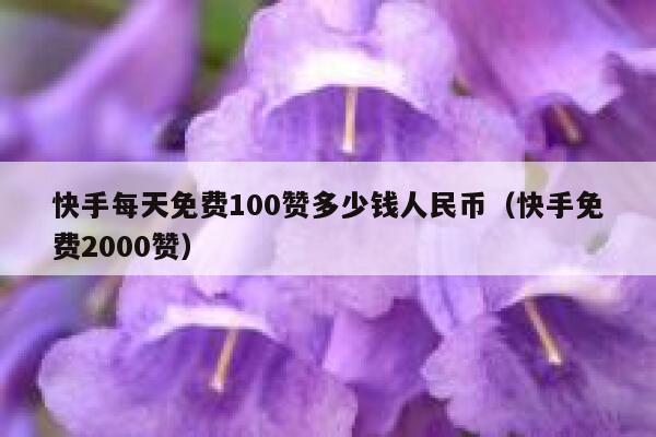 快手每天免费100赞多少钱人民币(快手免费2000赞) 第1张 快手每天免费100赞多少钱人民币(快手免费2000赞) 第1张