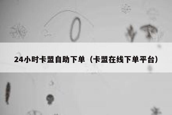 24小时卡盟自助下单（卡盟在线下单平台） 第1张