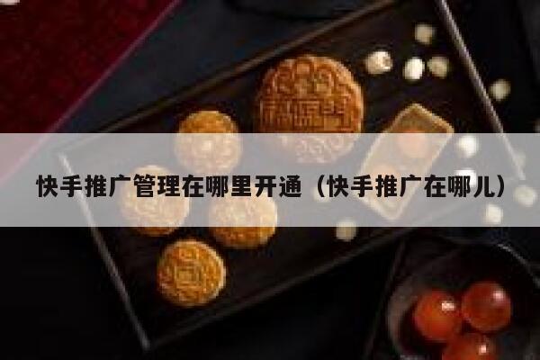 快手推广管理在哪里开通（快手推广在哪儿） 第1张