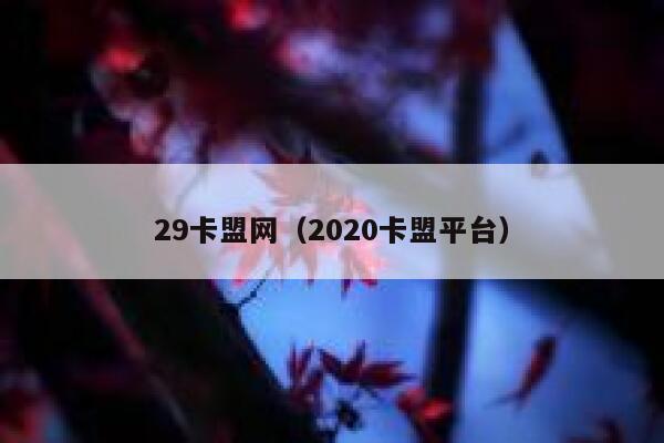 29卡盟网（2020卡盟平台） 第1张
