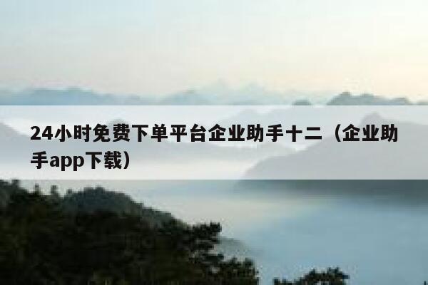 24小时免费下单平台企业助手十二（企业助手app下载） 第1张