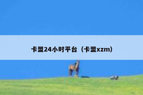 卡盟24小时平台（卡盟xzm） 第1张