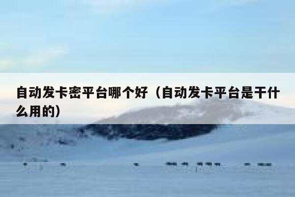 自动发卡密平台哪个好（自动发卡平台是干什么用的） 第1张