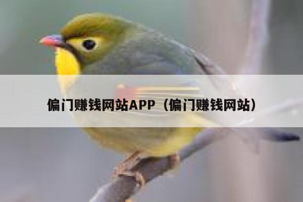 偏门赚钱网站APP（偏门赚钱网站） 第1张