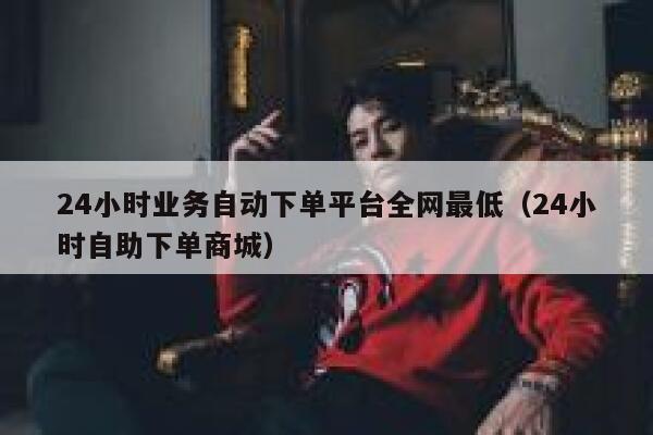 24小时业务自动下单平台全网最低（24小时自助下单商城） 第1张