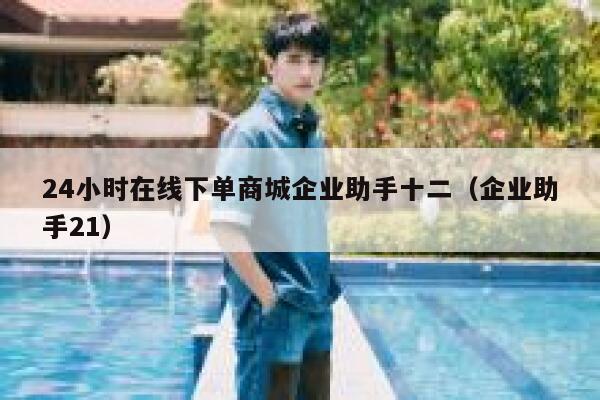 24小时在线下单商城企业助手十二（企业助手21） 第1张