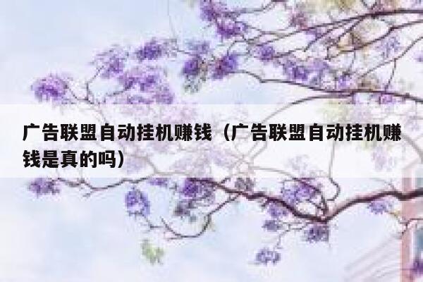 广告联盟自动挂机赚钱（广告联盟自动挂机赚钱是真的吗） 第1张