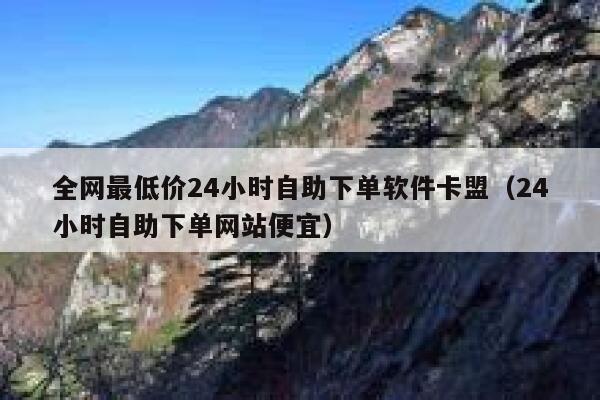 全网最低价24小时自助下单软件卡盟（24小时自助下单网站便宜） 第1张