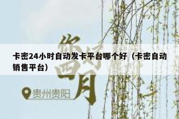 卡密24小时自动发卡平台哪个好（卡密自动销售平台） 第1张