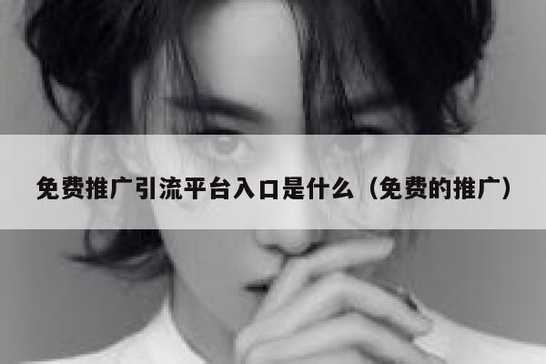 免费推广引流平台入口是什么（免费的推广） 第1张