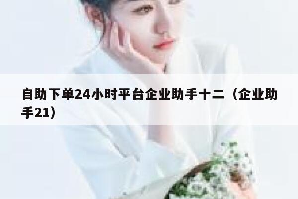 自助下单24小时平台企业助手十二（企业助手21） 第1张