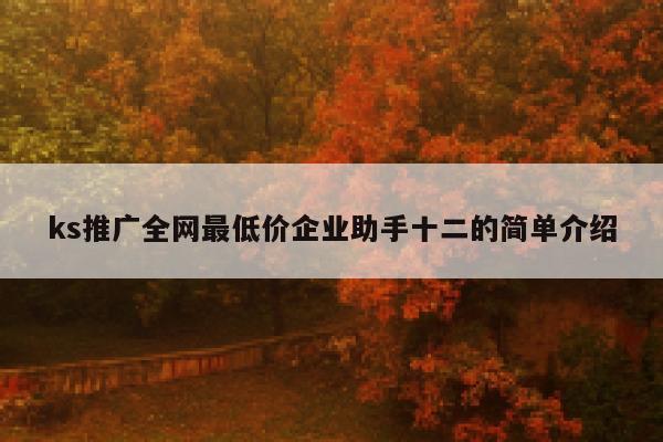 ks推广全网最低价企业助手十二的简单介绍 第1张