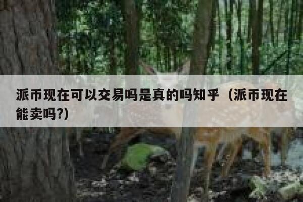 派币现在可以交易吗是真的吗知乎（派币现在能卖吗?） 第1张