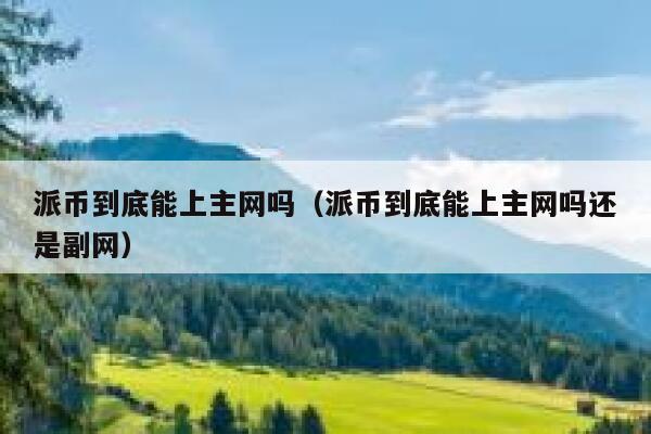 派币到底能上主网吗（派币到底能上主网吗还是副网） 第1张