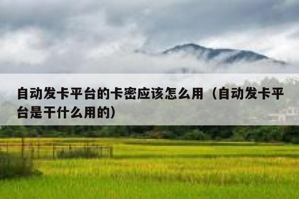 自动发卡平台的卡密应该怎么用（自动发卡平台是干什么用的） 第1张