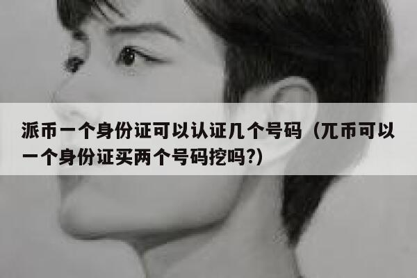 派币一个身份证可以认证几个号码（兀币可以一个身份证买两个号码挖吗?） 第1张