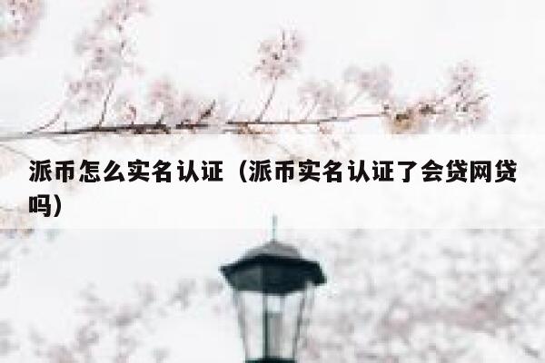 派币怎么实名认证（派币实名认证了会贷网贷吗） 第1张