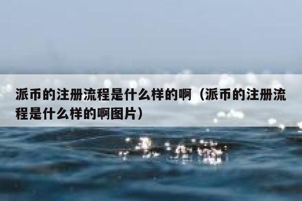 派币的注册流程是什么样的啊（派币的注册流程是什么样的啊图片） 第1张