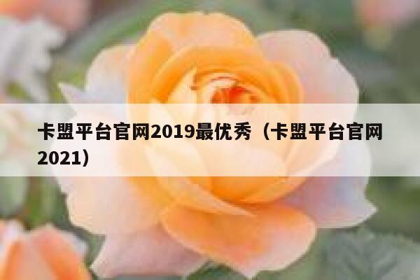 卡盟平台官网2019最优秀（卡盟平台官网2021） 第1张