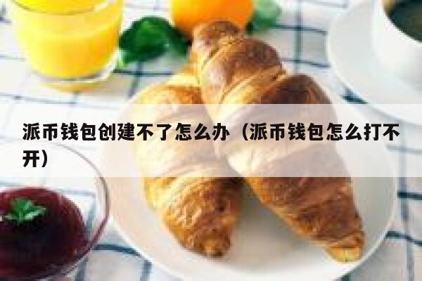 派币钱包创建不了怎么办（派币钱包怎么打不开） 第1张