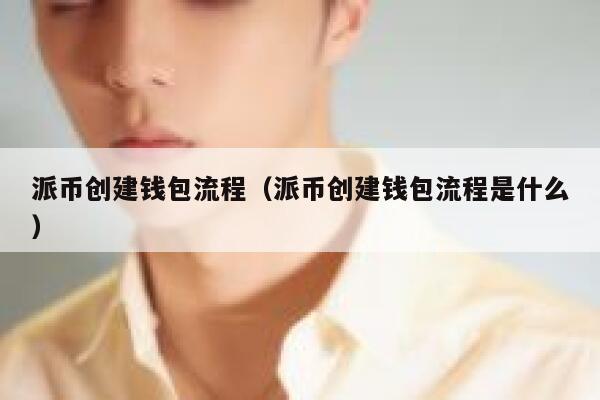 派币创建钱包流程（派币创建钱包流程是什么） 第1张